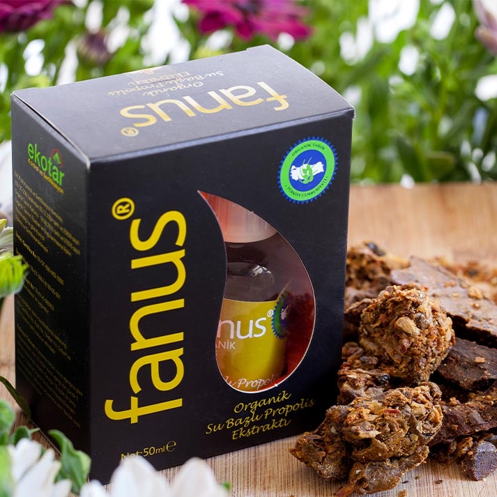 Su Bazlı Organik Propolis 50ml x 3 Adet Avantajlı Paket