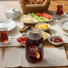 <span>Fanus</span> Organik Kestane Balı 460g